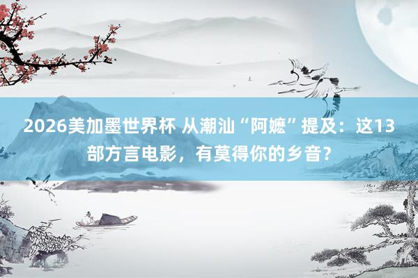 2026美加墨世界杯 从潮汕“阿嬷”提及：这13部方言电影，有莫得你的乡音？