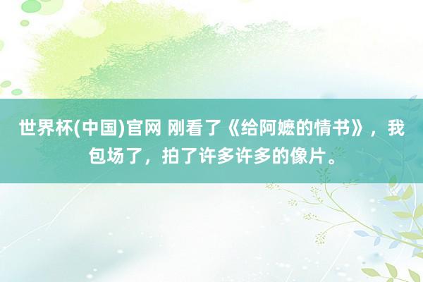 世界杯(中国)官网 刚看了《给阿嬷的情书》，我包场了，拍了许多许多的像片。