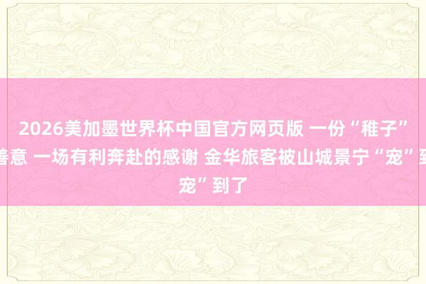 2026美加墨世界杯中国官方网页版 一份“稚子”的善意 一场有利奔赴的感谢 金华旅客被山城景宁“宠”到了