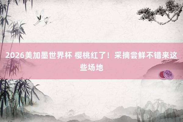 2026美加墨世界杯 樱桃红了！采摘尝鲜不错来这些场地