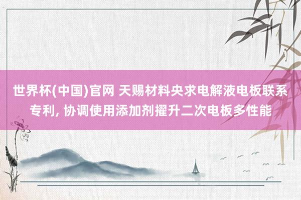 世界杯(中国)官网 天赐材料央求电解液电板联系专利， 协调使用添加剂擢升二次电板多性能