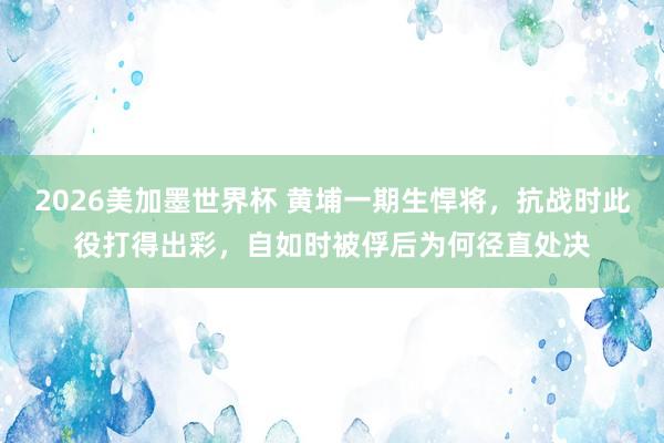 2026美加墨世界杯 黄埔一期生悍将，抗战时此役打得出彩