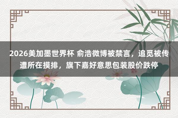 2026美加墨世界杯 俞浩微博被禁言，追觅被传遭所在摸排，旗下嘉好意思包装股价跌停