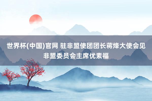 世界杯(中国)官网 驻非盟使团团长蒋烽大使会见非盟委员会主席优素福