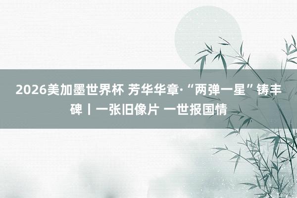 2026美加墨世界杯 芳华华章·“两弹一星”铸丰碑丨一张旧像片 一世报国情