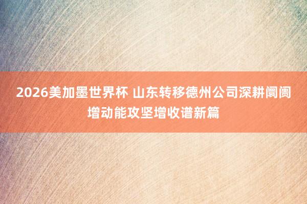 2026美加墨世界杯 山东转移德州公司深耕阛阓增动能攻坚增收谱新篇