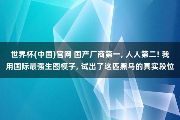 世界杯(中国)官网 国产厂商第一， 人人第二! 我用国际最强生图模子， 试出了这匹黑马的真实段位