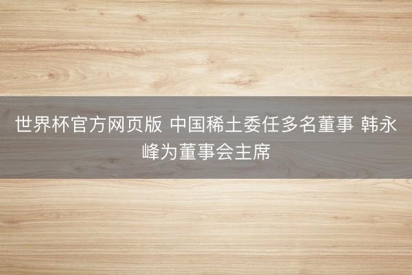 世界杯官方网页版 中国稀土委任多名董事 韩永峰为董事会主席