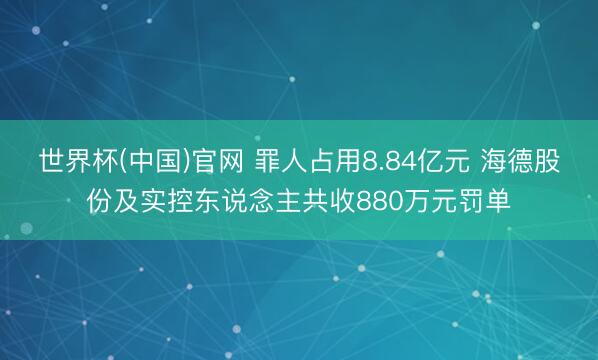 世界杯(中国)官网 罪人占用8.84亿元 海德股份及实控东说念主共收880万元罚单