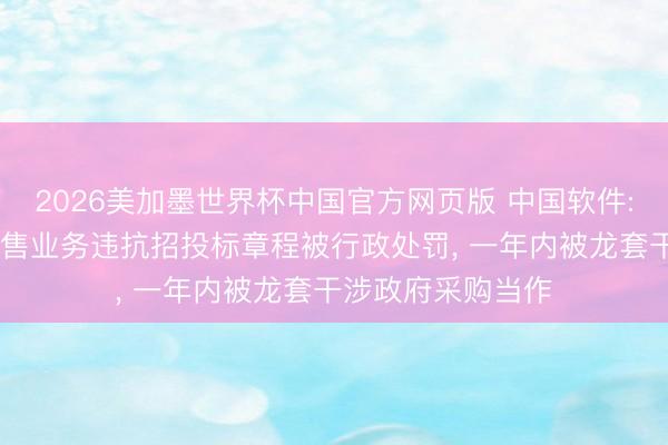 2026美加墨世界杯中国官方网页版 中国软件: 母公司因部分销售业务违抗招投标章程被行政处罚， 一年内被龙套干涉政府采购当作