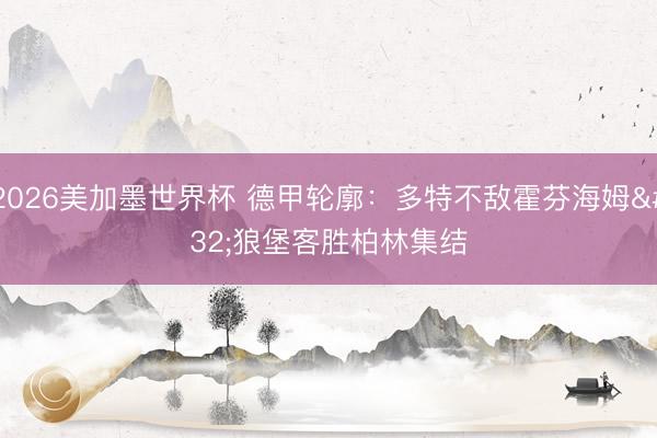 2026美加墨世界杯 德甲轮廓：多特不敌霍芬海姆 狼堡客胜柏林集结