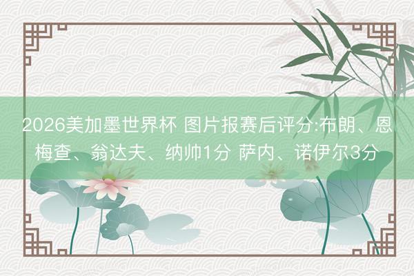 2026美加墨世界杯 图片报赛后评分:布朗、恩梅查、翁达夫、纳帅1分 萨内、诺伊尔3分