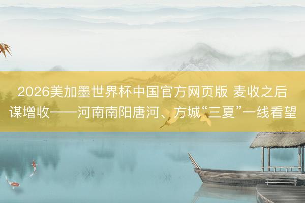 2026美加墨世界杯中国官方网页版 麦收之后谋增收——河南南阳唐河、方城“三夏”一线看望