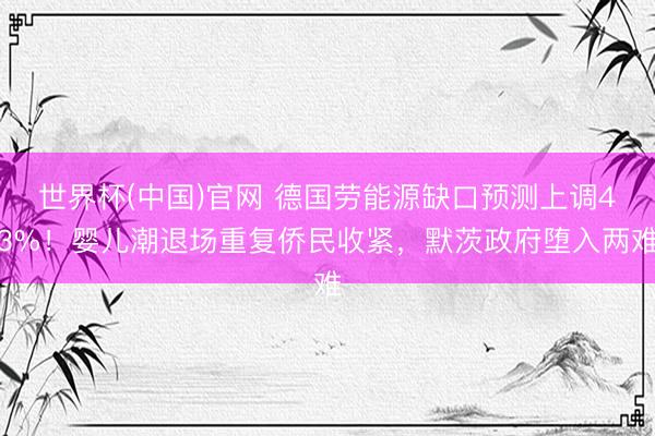 世界杯(中国)官网 德国劳能源缺口预测上调43%！婴儿潮退场重复侨民收紧，默茨政府堕入两难