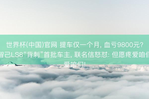 世界杯(中国)官网 提车仅一个月， 血亏9800元? 智己LS8“背刺”首批车主， 联名信怒怼: 但愿疼爱咱们!
