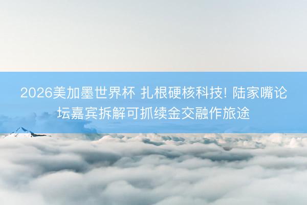 2026美加墨世界杯 扎根硬核科技! 陆家嘴论坛嘉宾拆解可抓续金交融作旅途
